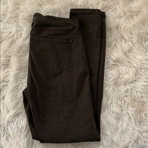 BUFFALO David Bitton